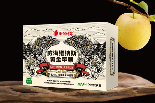 威海维纳斯黄金苹果365完美体育
​美学解析